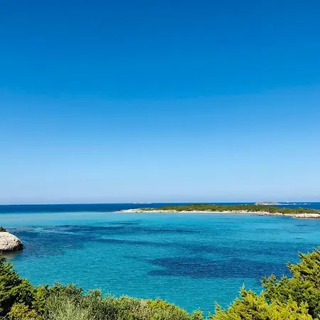 Location 2 U Alivu Piscine Bonifacio